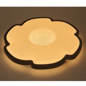 CX228 Ceiling Light