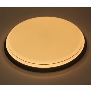 CX230 Ceiling Light