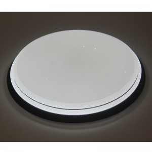CX230 Ceiling Light