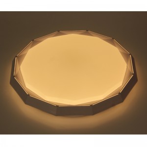 CX235 Ceiling Light