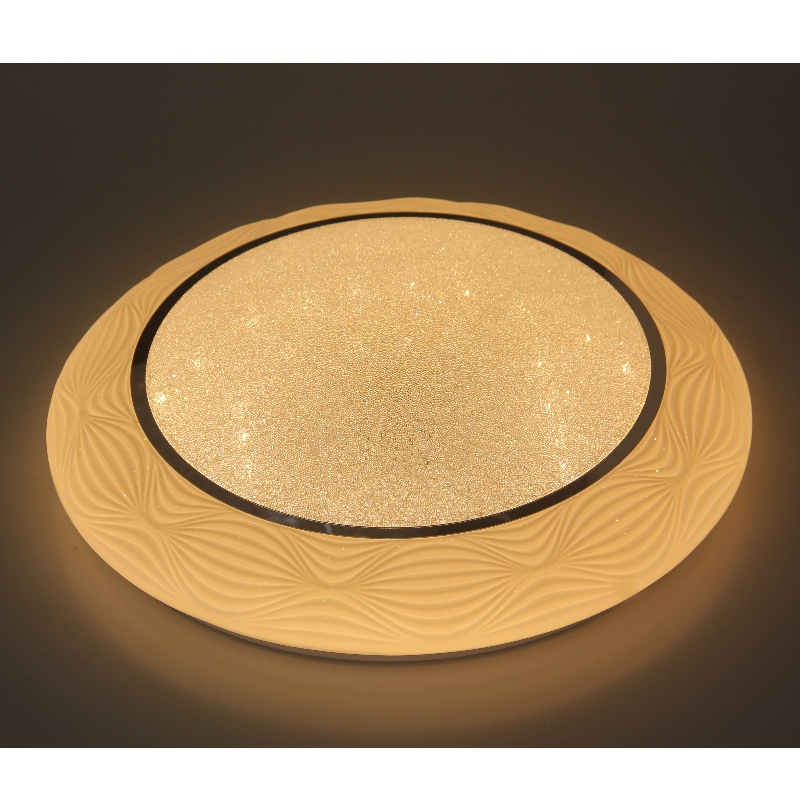 CX239 Ceiling Light