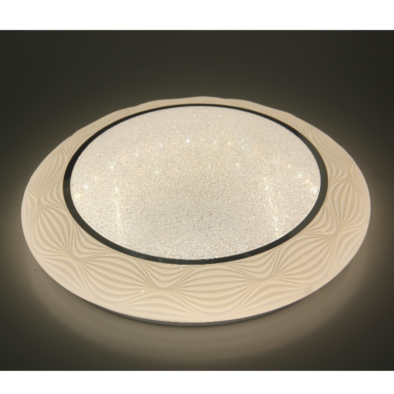 CX239 Ceiling Light