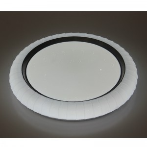 CX242 Ceiling Light