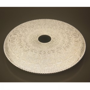 CX243 Ceiling Light