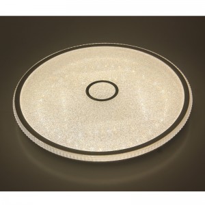 CX244 Ceiling Light