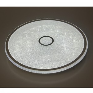CX244 Ceiling Light