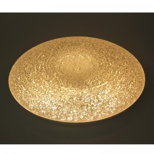 CX246 Ceiling Light