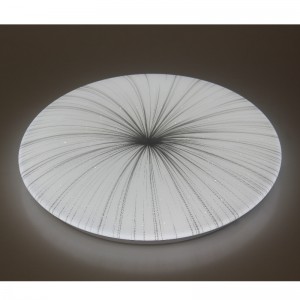 CX249 Ceiling Light