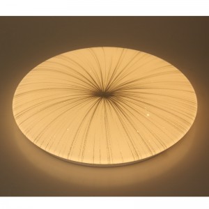CX249 Ceiling Light