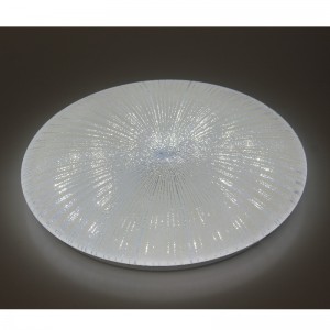 CX251 Ceiling Light