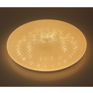 CX251 Ceiling Light