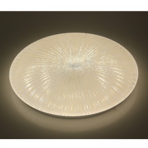 CX251 Ceiling Light