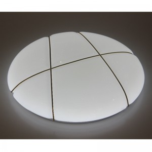 CX254 Ceiling Light
