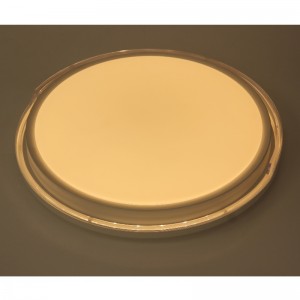 CX259 Ceiling Light
