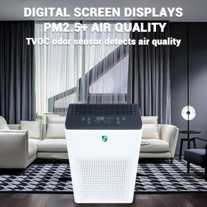 Dubbel reningsutrustning (aktiv rening +passiv rening)