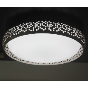 CX283 Ceiling Light