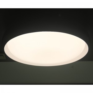 CX284 Ceiling Light