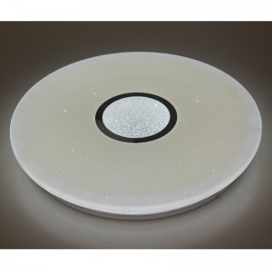 CX289 Ceiling Light