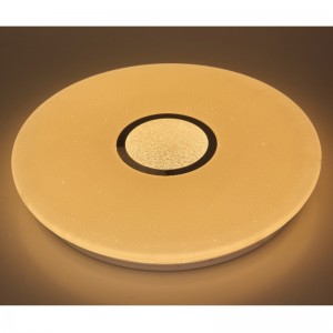 CX289 Ceiling Light