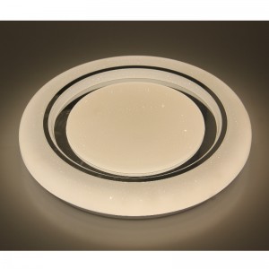 CX292 Ceiling Light