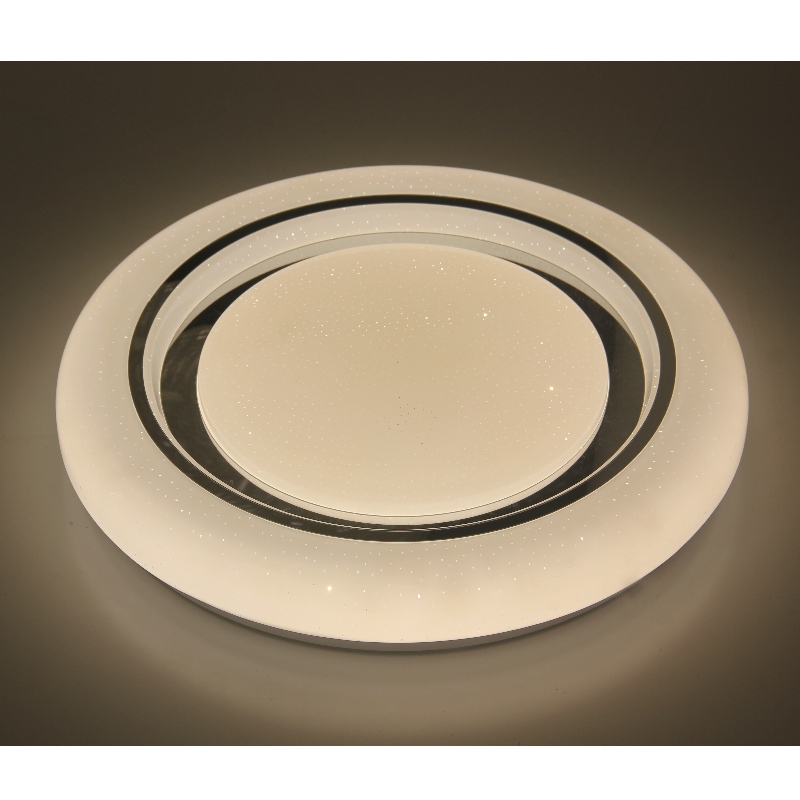 CX292 Ceiling Light