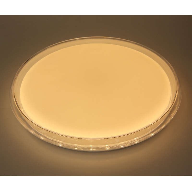 CX293 Ceiling Light