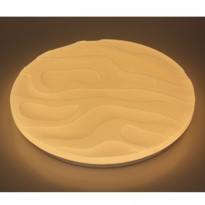 CX303 Ceiling Light
