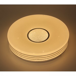 CX306 Ceiling Light