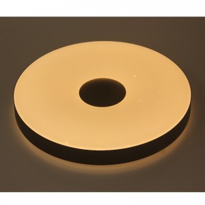 CX309 Ceiling Light