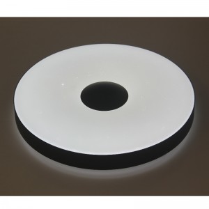 CX309 Ceiling Light