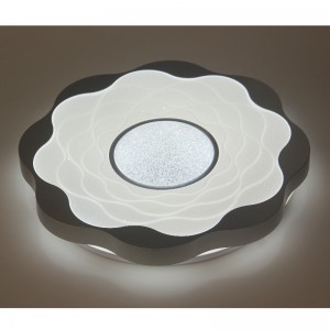 CX326 Ceiling Light