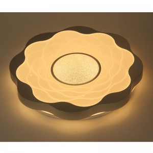 CX326 Ceiling Light