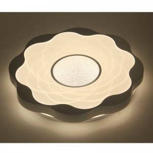 CX326 Ceiling Light
