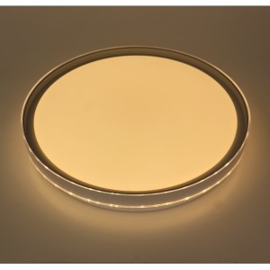 CX332 Ceiling Light
