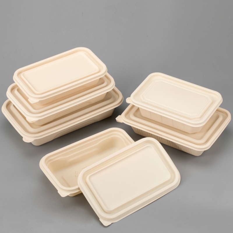 Rektangel miljövänlig biologiskt nedbrytbar livsmedelsförpackningsbehållare takeaway majsstärkelse engångs matbehållare