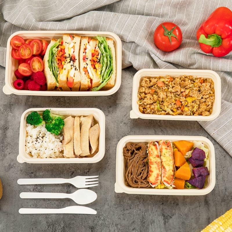 Rektangel miljövänlig biologiskt nedbrytbar livsmedelsförpackningsbehållare takeaway majsstärkelse engångs matbehållare
