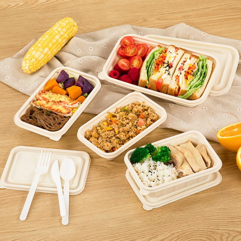 Miljövänlig BPA-fri engångslåda för engångsbruk (bento lunch box) och paketlåda Biologiskt nedbrytbar livsmedelsförpackning