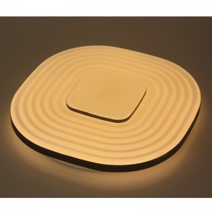 CX349 Ceiling Light