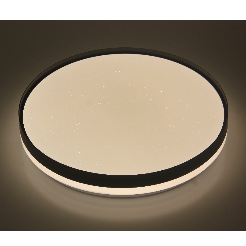 CX351 Ceiling Light