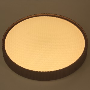 CX353 Ceiling Light