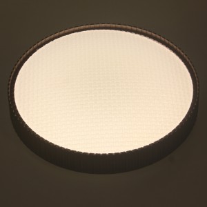 CX353 Ceiling Light
