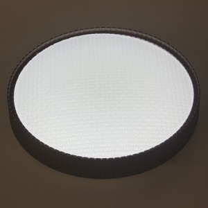 CX353 Ceiling Light