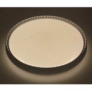 CX358 Ceiling Light
