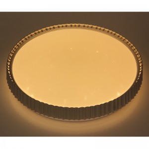 CX358 Ceiling Light