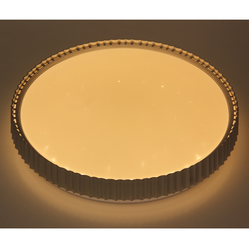 CX358 Ceiling Light