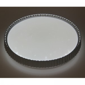 CX358 Ceiling Light