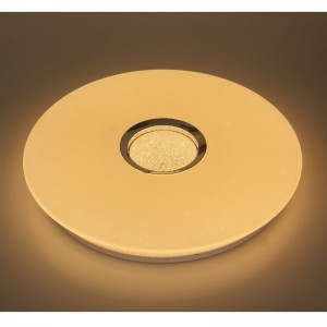 CX359 Ceiling Light