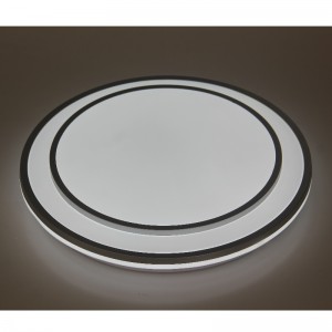 CX362 Ceiling Light