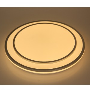 CX362 Ceiling Light