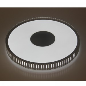 CX367 Ceiling Light
